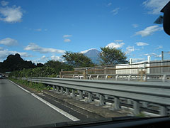 ���₩��x�m�R��A�����Ă��񂯁I