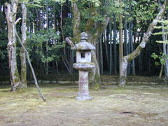 �N�w������������H���Ă̔z�u...