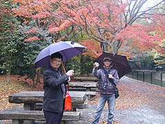 �Ɋ���L�O�����H�ɂČy����t��鋴�{�ƐX��...