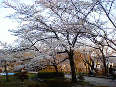 ���߂ĉ摜�ō���...