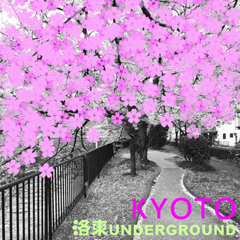 �wKYOTO�x