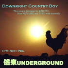 �u������J���g���[�{�[�C�v �V���O����