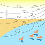 �C������...