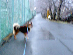 �܂����Ă��ˑR�̐�Ɍ�����ꂽ�����G���A... ��X�q�����Ԃ����R�Ȏx�������̃W���`��