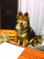 ���ēɏA�C�����H�W���`��